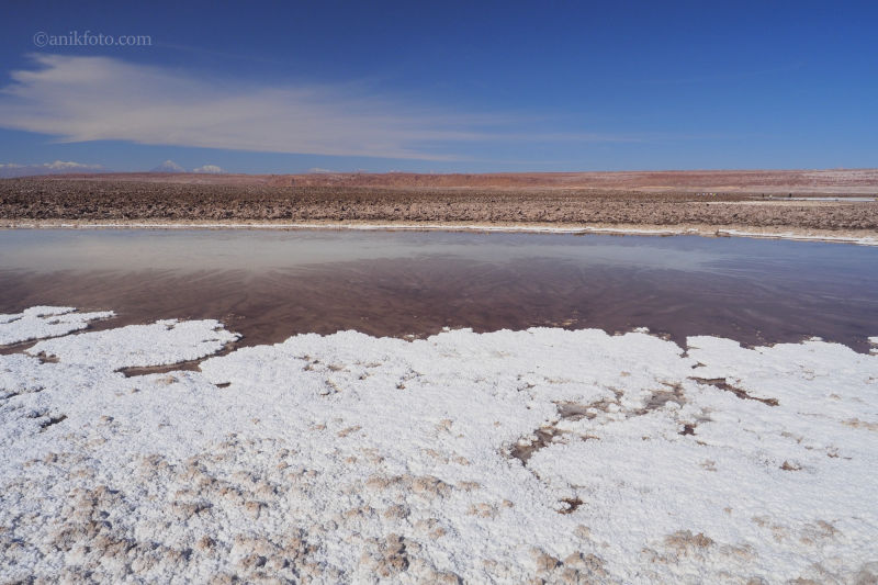 Lagunas escondidas - désert d'Atacama - Chili
