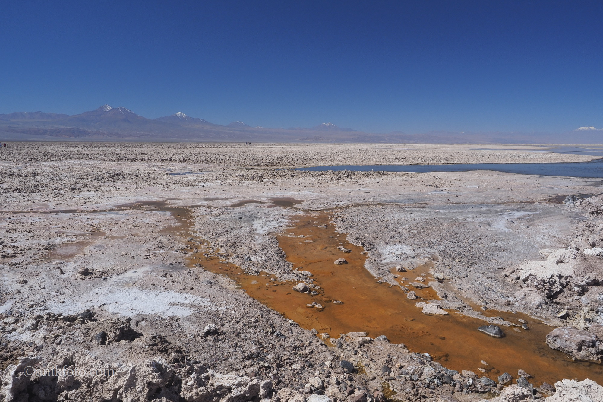 Laguna Chaxa - Atacama - Chili
