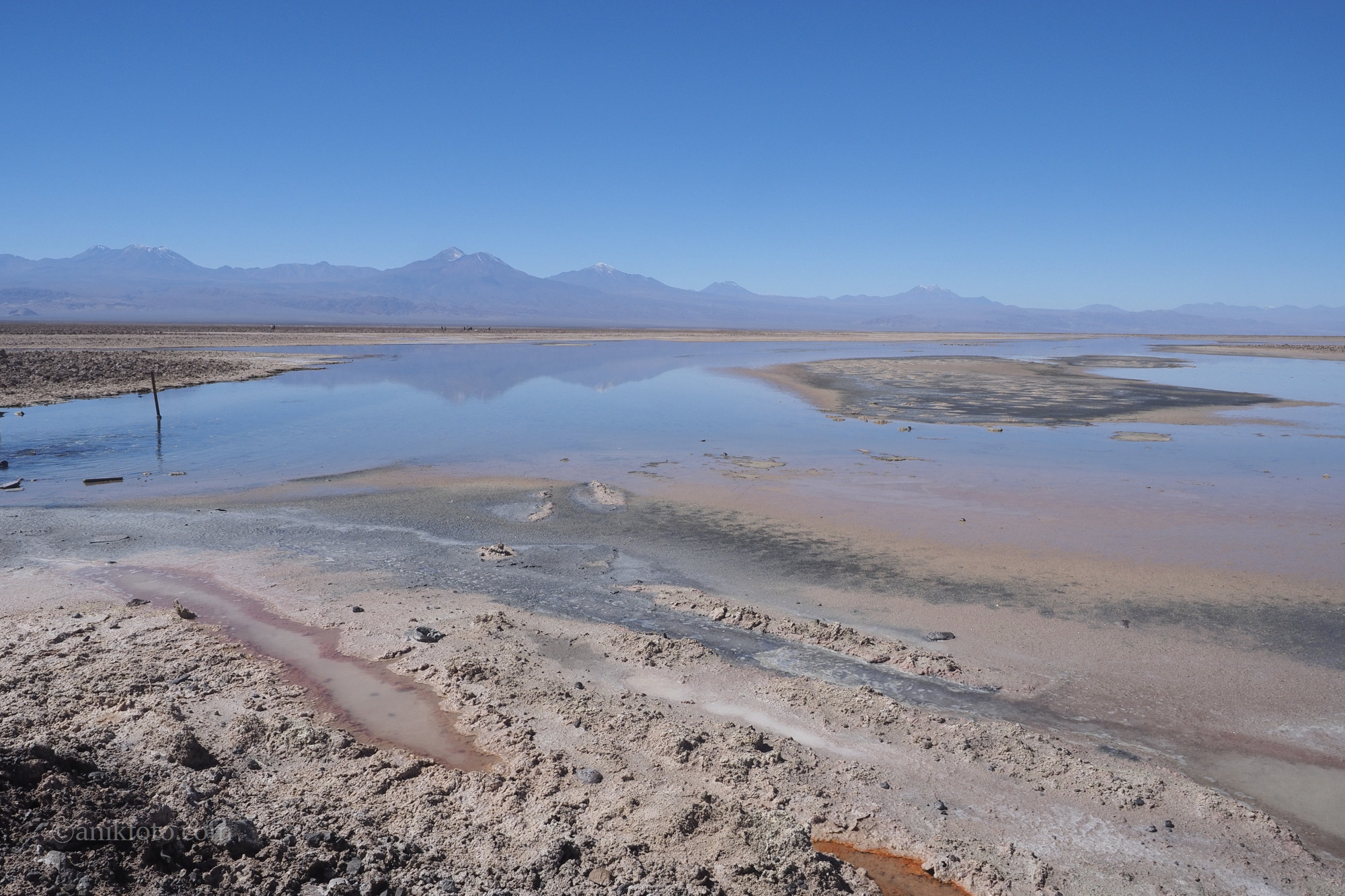 Laguna Chaxa - Atacama - Chili