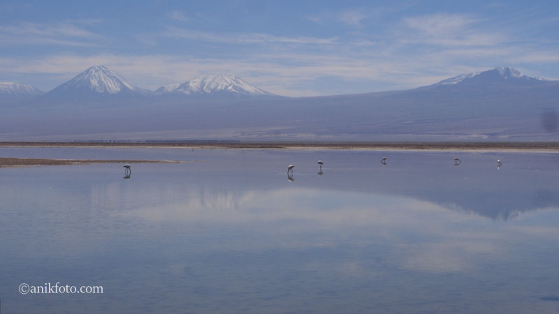 Laguna Chaxa - Chili