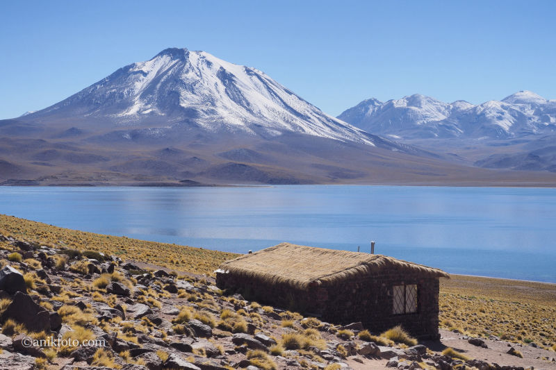 Laguna Miscanti - Atacama - Chili