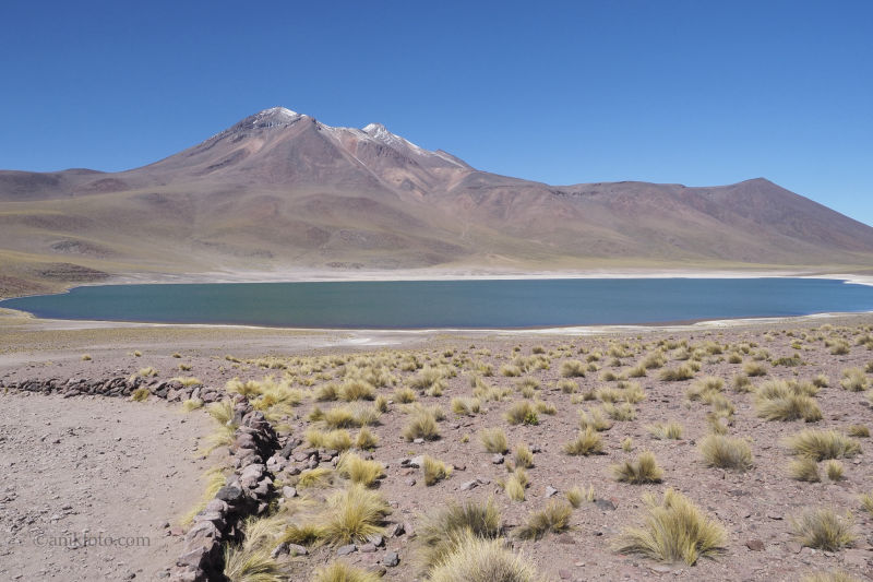 Laguna Miniques - Atacama - Chili