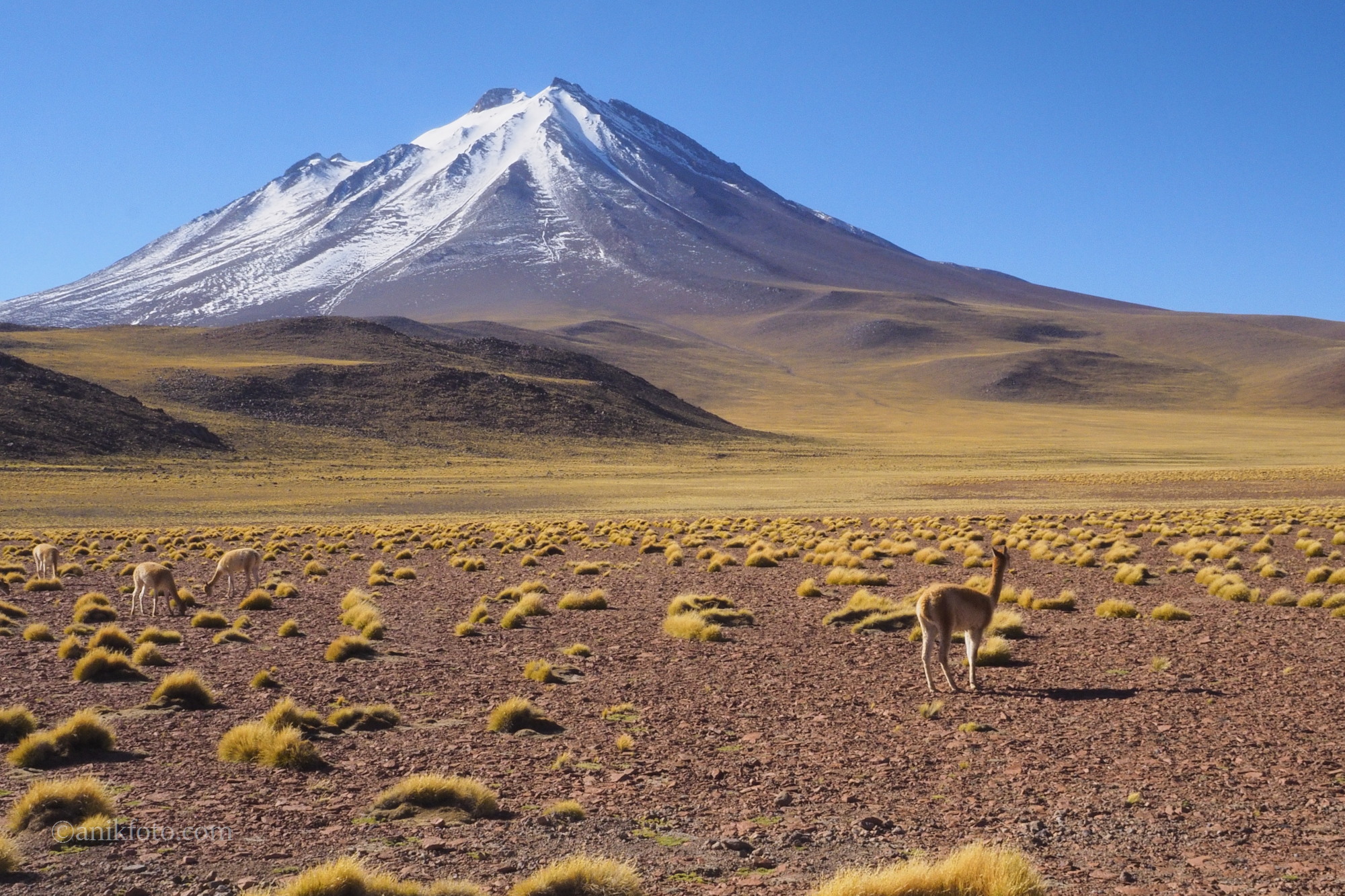 Volcan Miniques - Atacama - Chili