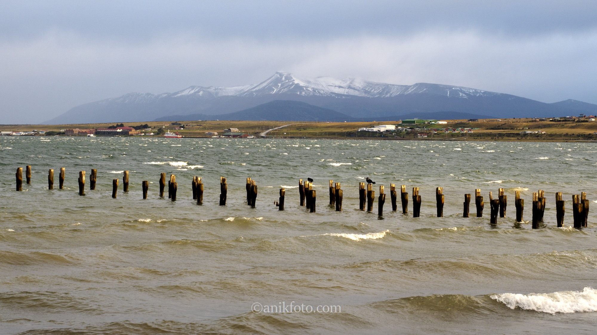 Puerto Natales - Patagonie - Chili