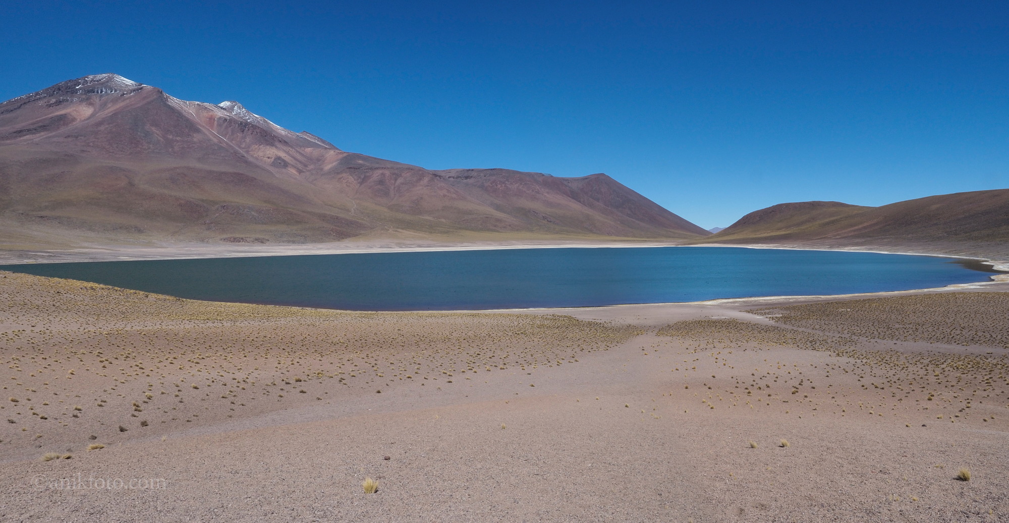 Laguna Miniques - Atacama - Chili